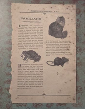 Harry Potter Wizarding Trunk Magical Creatures A to Z Book Page 11-12