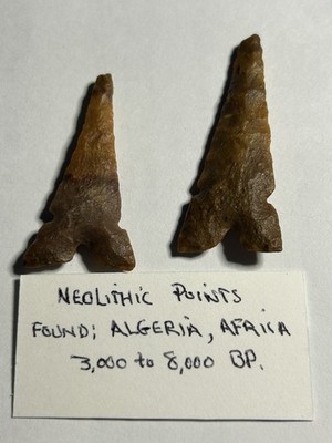 5 Neolithic Points from Algeria. 3,000-8,000B.P.