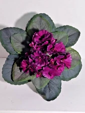 8" Artificial African violet (WINE) without pot