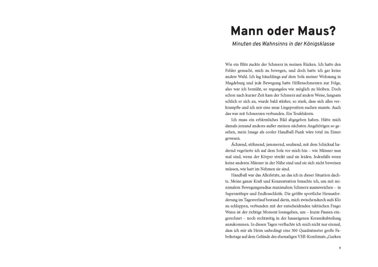 Bild 5 von 7