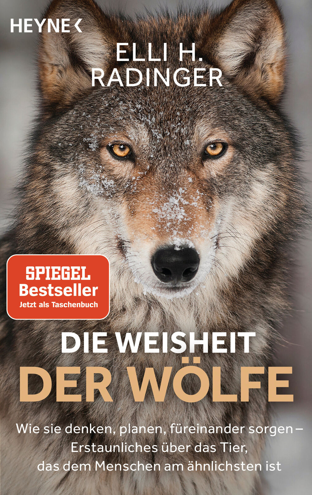 Thumbnail - Elli H. Radinger / Die Weisheit Der Wölfe