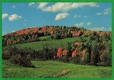 Postcard VT Maple Trees Syrup Rolling Hill Autumn Leaves Changing Fall