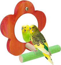 Hypeety Bird Mirror Toy with Perch Cage Standing Accessories Parrot Parakeet Bud