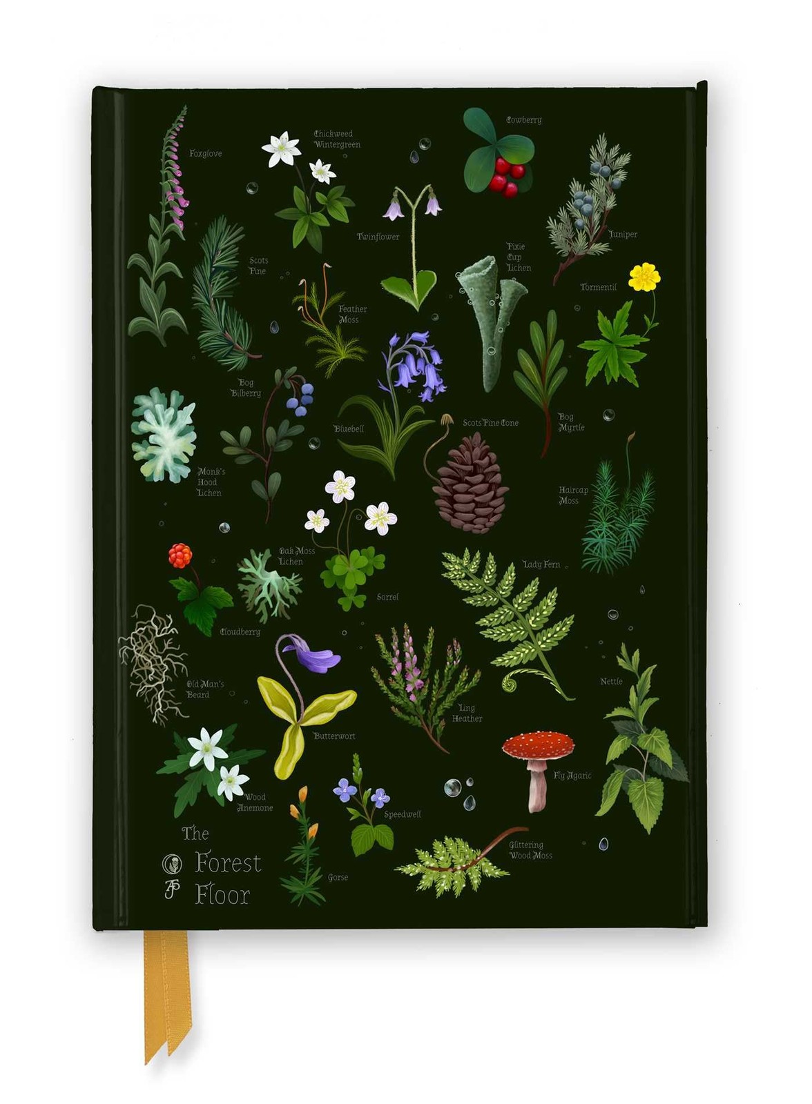 Anna Stead The Forest Floor - Image 4