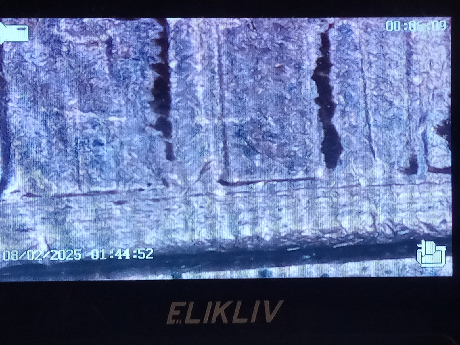 Picture 8 of 13
