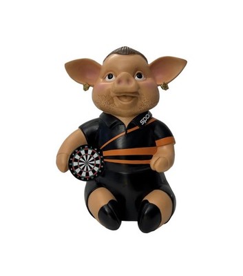 Sport1 Darts Phrasenschwein Dirk van Duijvenbode, Genie