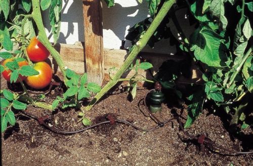 Tropf-Blumat 32003 - 2 Sensori A Carota Per Irrigazione Automatica A Goccia Per Piante