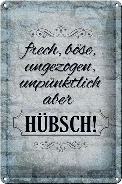Blechschild Spruch 20X30Cm Frech BöSe Ungezogen Aber HüBsch Deko Schild Tin Sign-image