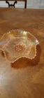 Dugan Garden Path Variant & Soda Gold back PEACH OPALESCENT Carnival Glass Bowl