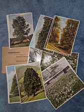 REEMTSMA - Aus Wald und Flur (From Forest and Field) &ndash; Group 3 (c