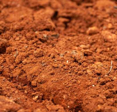50 lb Arkansas Red Clay Dirt Soil Model Making Diorama Terrarium Garden Craft 1a