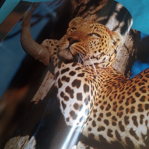 MOMBO: OKAVANGO'S PLACE OF PLENTTY, NATIONAL TCA BOOK COMMITEE, 1ST ED. 2004 HC - Imagen 21 de 22