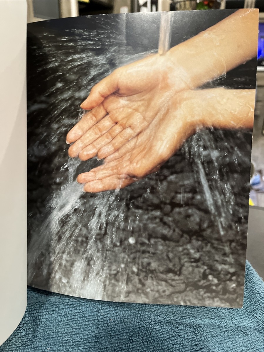 洋書 the tropical spa The Tropical Spa - Hardcover By Benge, Sophie - PreOwned