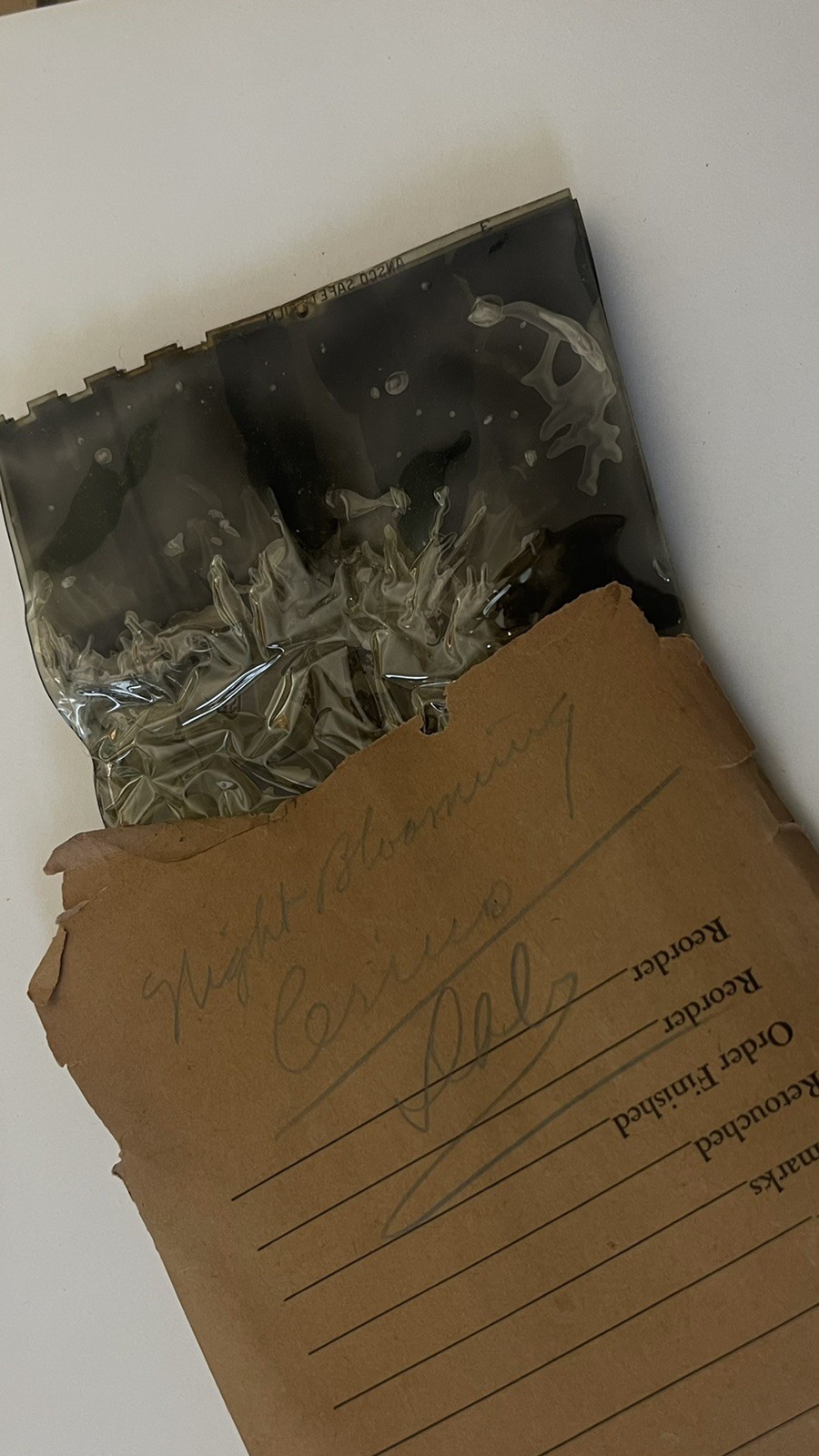 VTG Lot 4x5” Large Format 150+ B&W Photo Negatives Lot FLOWERS 1950s Damaged COA