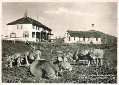 Hundwil AR Guest House Hundwilerhöhe Cattle Pasture Cows