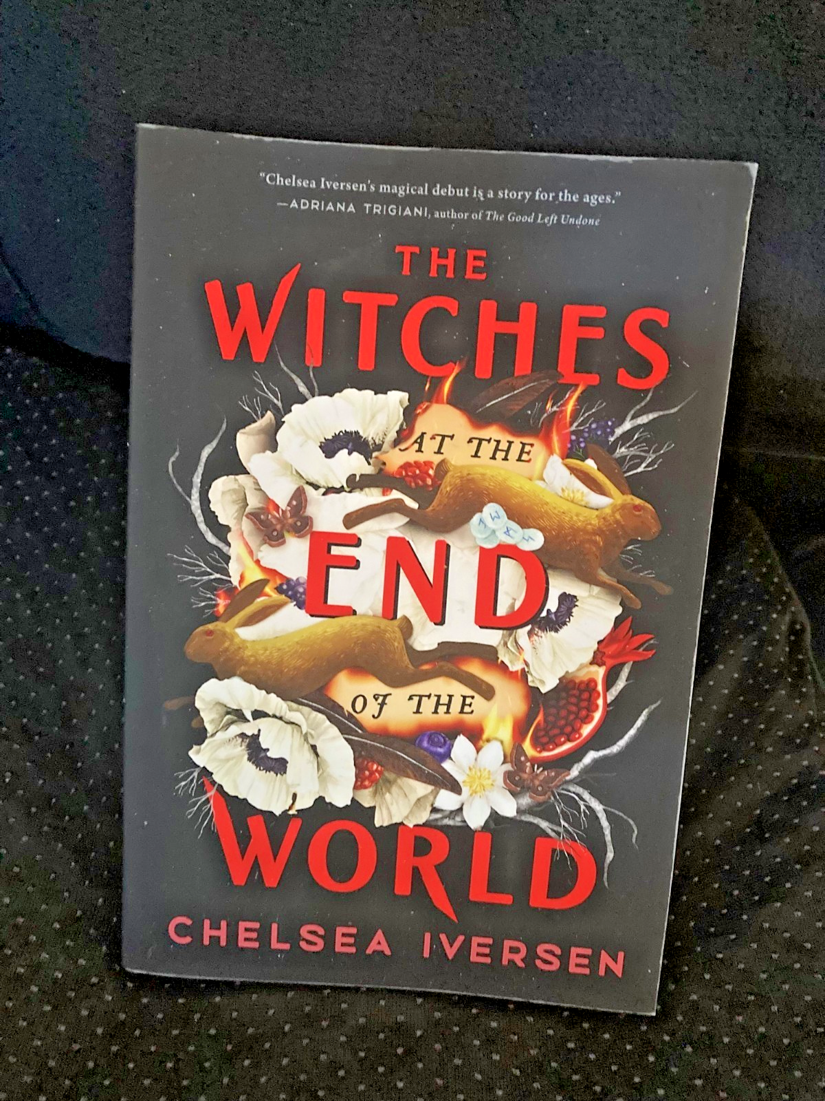 The Witches at the End of the World (Paperback) New