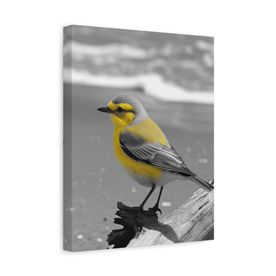 Yellow Bird Canvas Wall Art   Coastal Beach Animal Print   Wildlife Nature Decor