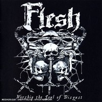 Flesh - Worship The Soul Of Disgust - Cd - G72Z