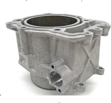 Arctic Cat OEM Cylinder - 2019-2022 Alterra 700 H1