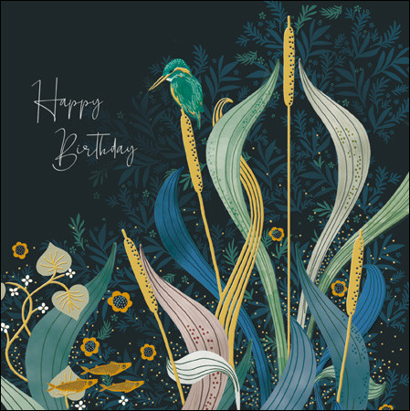 Birthday Card National Trust Kingfisher