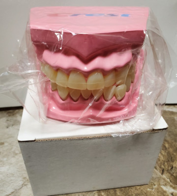 Crest Model Teeth Brush / Floss Demo Dental Display w/ Original Box