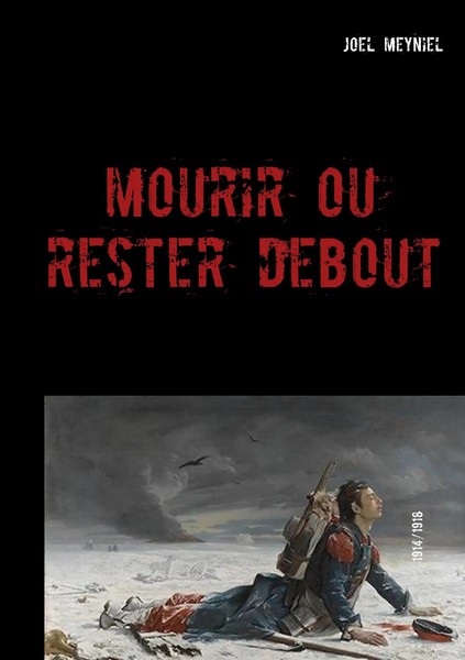 Joel Meyniel | Mourir Ou Rester Debout | Taschenbuch | FranzöSisch (2017)-image