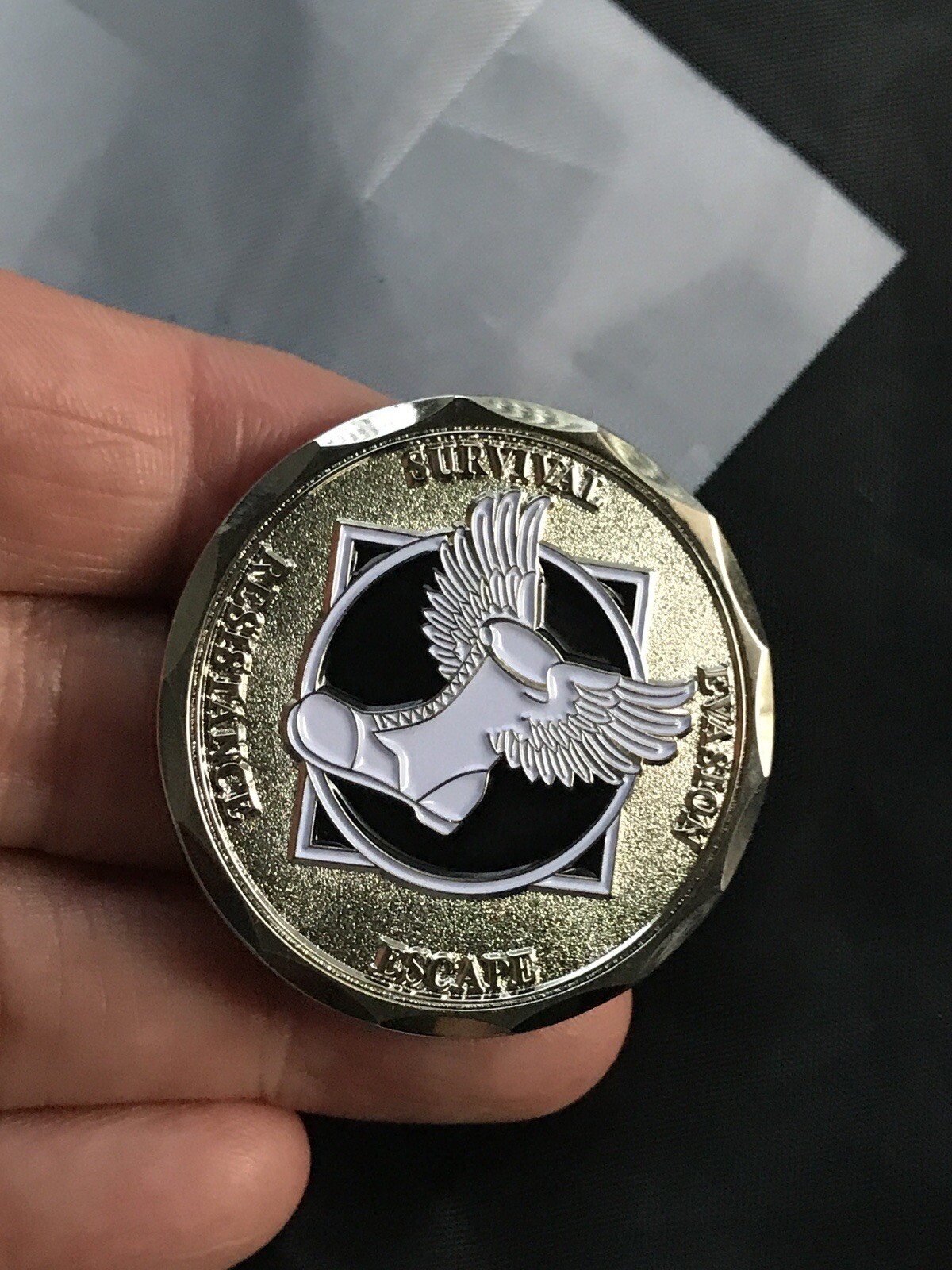 SERE FAIRCHILD AFB SCHOOL Rabbit Survial Evade Resistance Escape