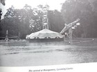 Picture 4 of 7
