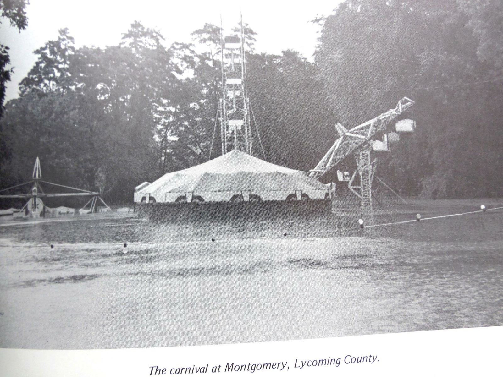 Picture 4 of 7