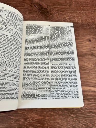 St Joseph Edition NAB New American Bible Medium Size Color Illustrated 1970s - Bild 7 von 7