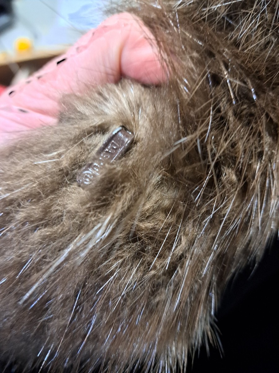 Long Fur Coat With Damage | eBay