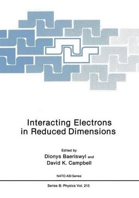 Interacting Electrons in Reduced Dimensions - 9781461278696