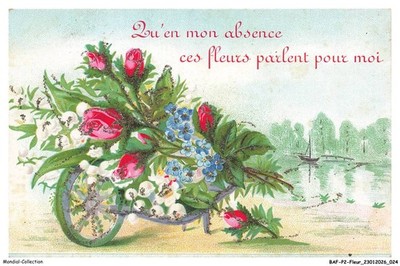BAFP2-0137-BLUMEN - In meiner Abwesenheit sollen diese Blumen für mich sprechen - Schubkarre