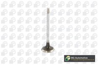 BGA Auslassventil V912003 FüR Lexus Toyota