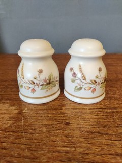Marks & Spencer Autumn Harvest Salt And Pepper Pots Cruet Set 8cm Tall
