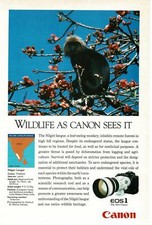 1990 Canon EOS 1 Camera Nilgiri Langur Vintage Print Ad