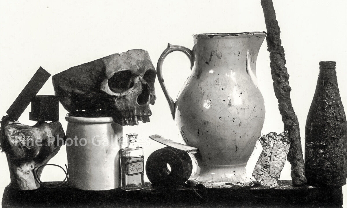 芸術写真 Still Life | Irving Penn 1979/91 Vintage IRVING PENN Skull Pitcher Trash Still Life