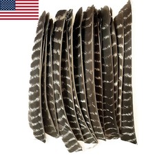 50X Full Length Arrow Feathers Fletches Turkey Fletching Shaft DIY Archery RW LW