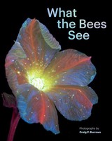 What The Bees See, Craig P. Burrows