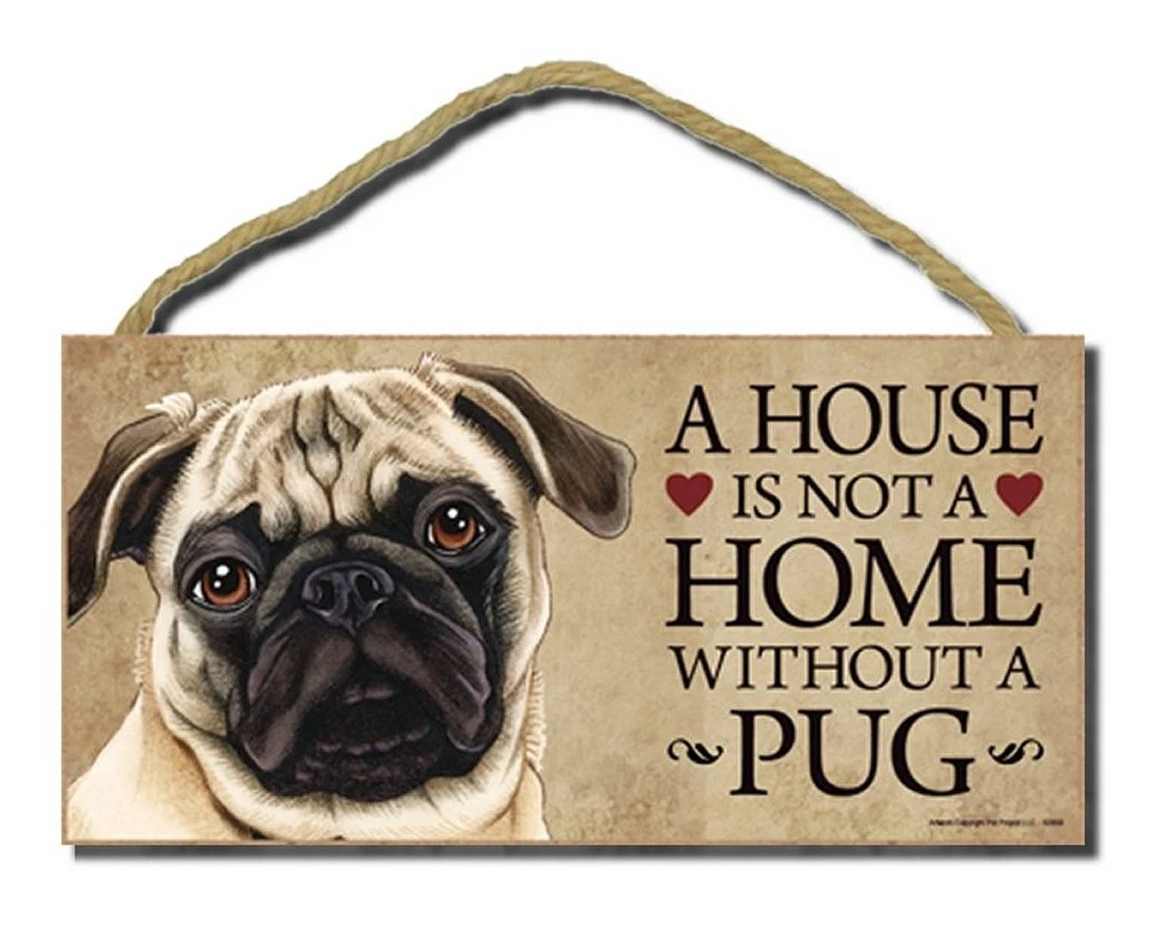 Not a pug 2025