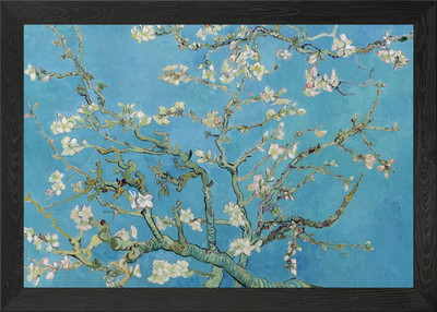 Mandelblüte gerahmtes Wandbild Poster Leinwanddruck Bild