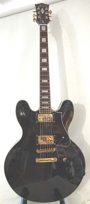 Firefly JSN 338 ES-335 Semi Hollow Black Electric Guitar ProSetup Soft Case.