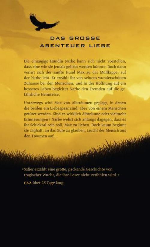 Thumbnail - Die Ballade Von Max Und Amelie - David Safier - 9783463407098