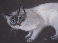 Gatto bianco siamese occhi azzurri 32x24, fatto a mano, arte moderna italiana