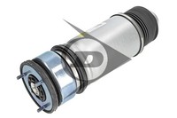 Luftfeder Federbein StossdÄMpfer Hinterachse Links Oder Rechts - AIC 71440