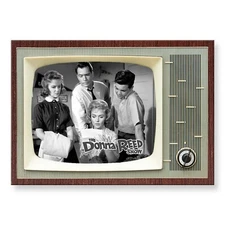 THE DONNA REED SHOW TV Show Classic TV 3.5 inches x 2.5 inches FRIDGE MAGNET