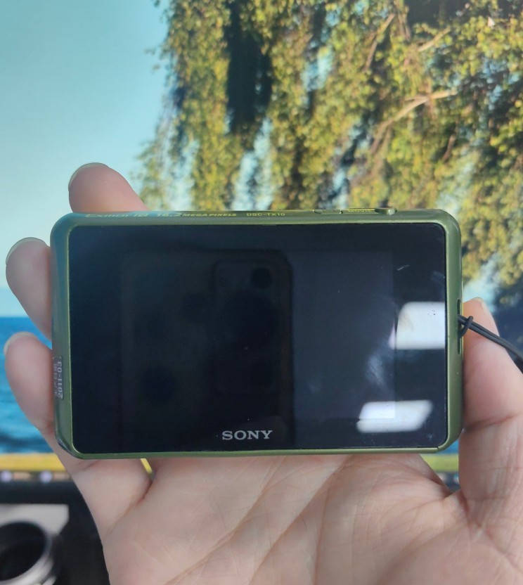 Sony Cyber Shot DSC-TX10 16.2MP 4x Optical Zoom Touch Screen