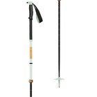 Black Diamond Traverse Pro Ski Poles