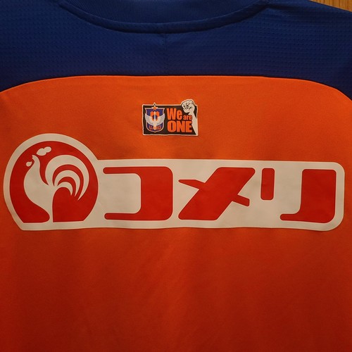 2018 Albirex Niigata Jersey J-league Soccer (Japan Size 3X0) - Picture 11 of 12