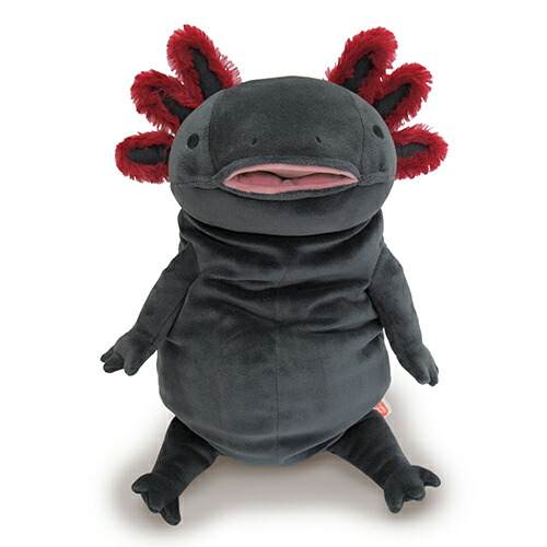Morisaka Global Mochiupa Axolotl Black Stuffed Plush L size 11.8